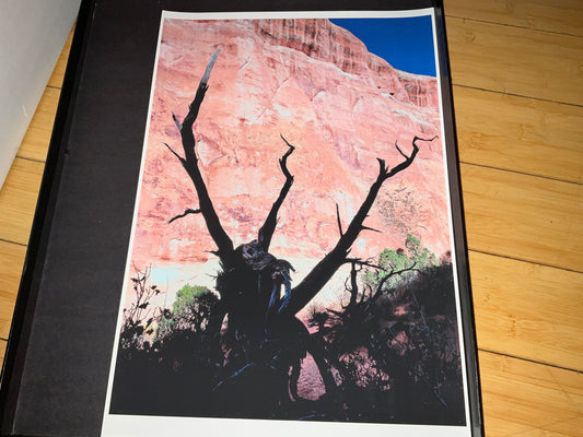 Desert Tree Silhouette Photo Print – 14x20” Red Rock Canyon Wall Art