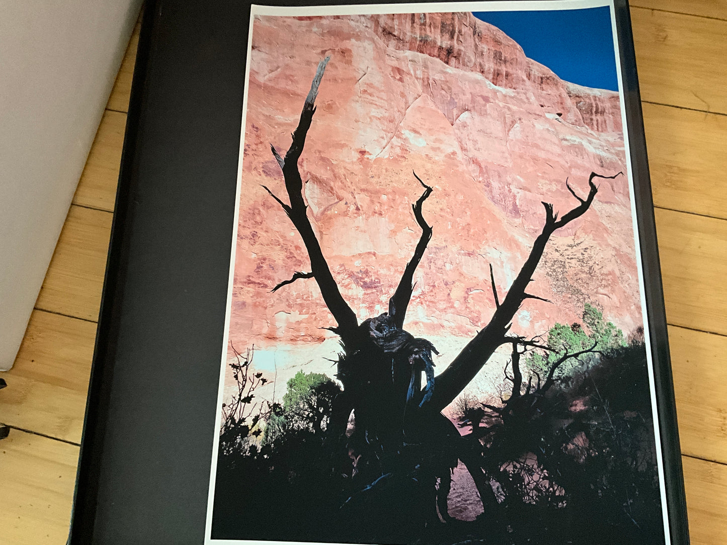 Desert Tree Silhouette Photo Print – 14x20” Red Rock Canyon Wall Art