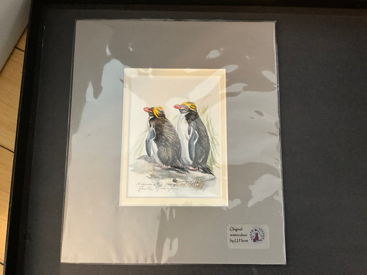 Original Macaroni Penguin Watercolor by U. Hurst | South Georgia Museum Wildlife Art